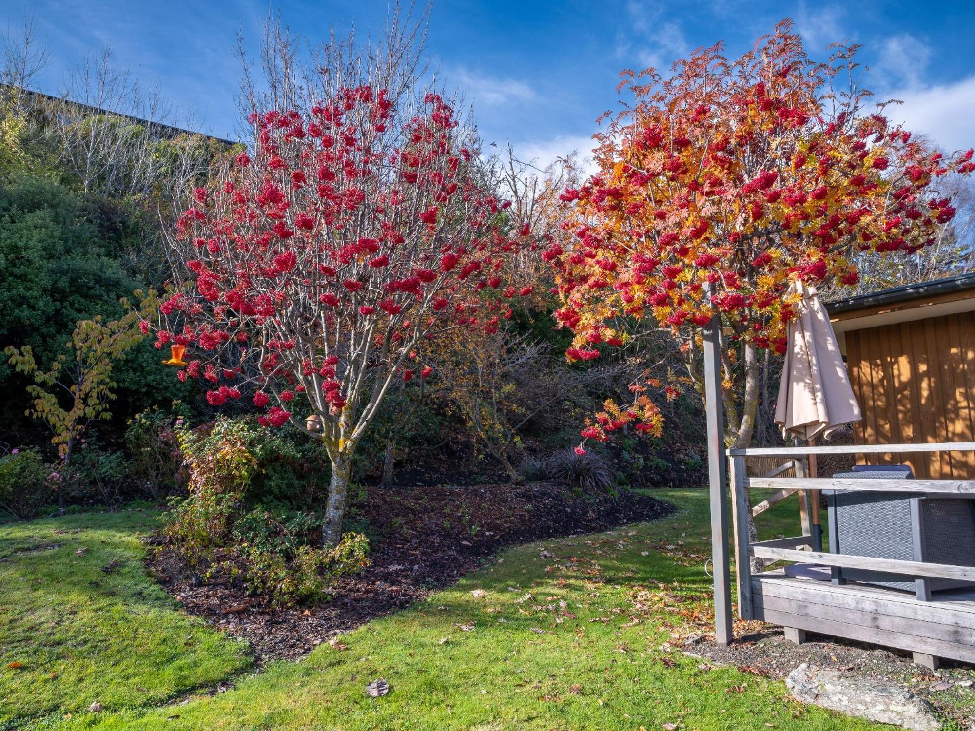 Wanaka Springs Lodge Εξωτερικό φωτογραφία